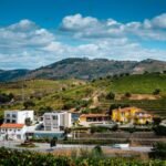 Vinho Verde: Portugal's Refreshing Summer Wine for UK Consumers